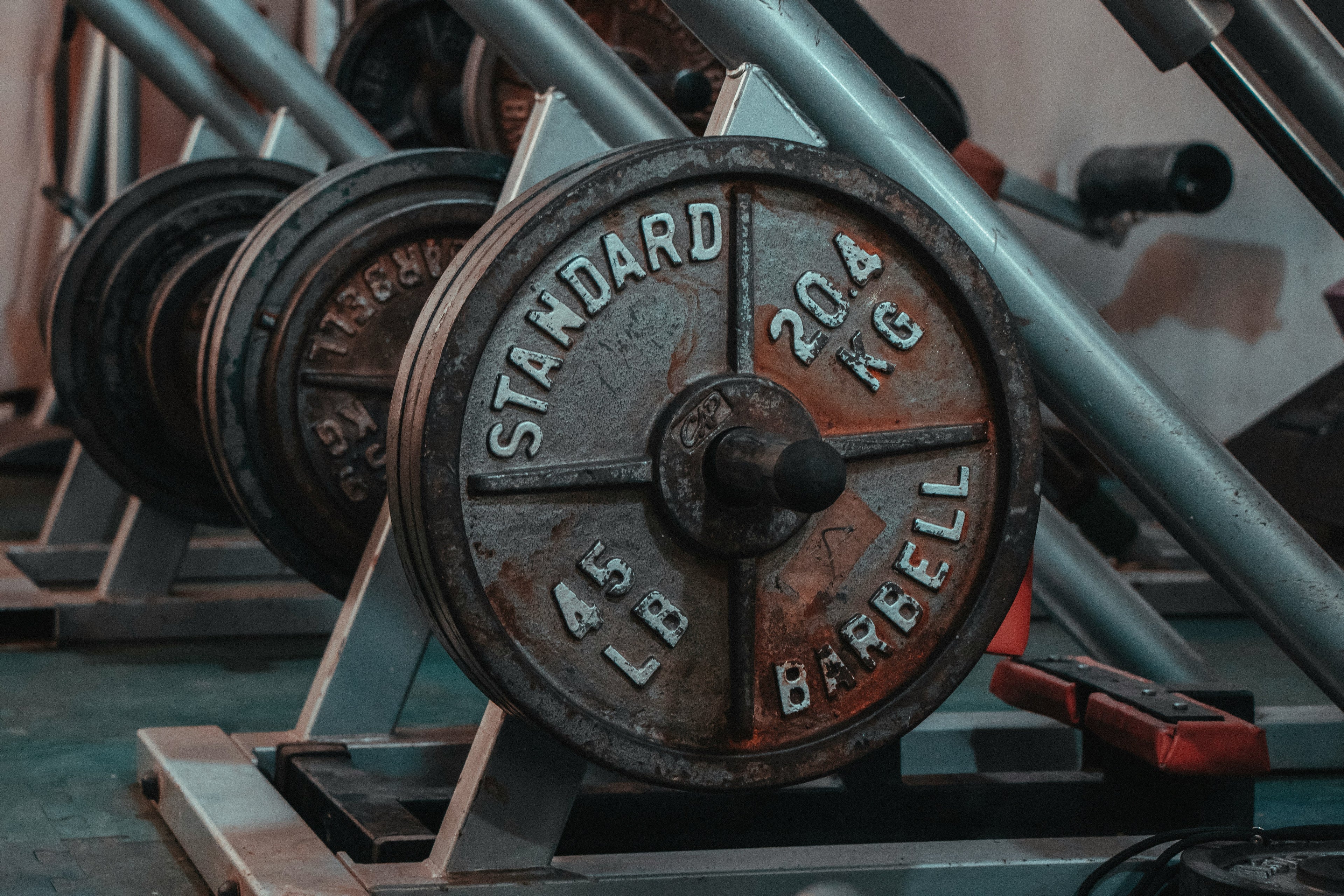 Gym & Wellness